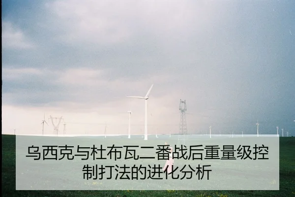 乌西克与杜布瓦二番战后重量级控制打法的进化分析