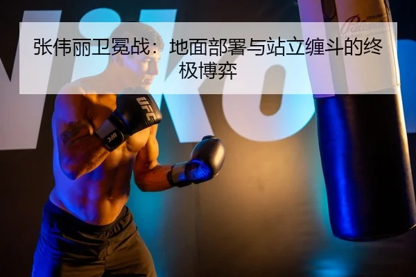 zhang-wei-li-wei-mian-zhan-di-mian-bu-shu-yu-zhan-li-chan-dou-de-zhong-ji-bo-yi-2-423.jpg